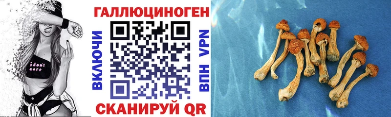 Псилоцибиновые грибы мухоморы  Лебедянь 