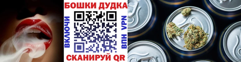 как найти наркотики  Лебедянь  Бошки марихуана конопля 